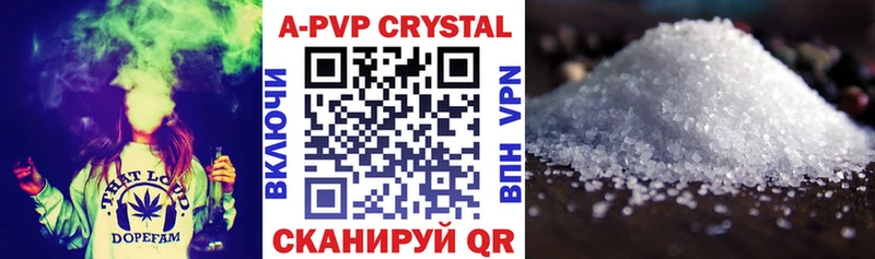 дарк нет клад  Пионерский  A PVP VHQ  OMG зеркало 