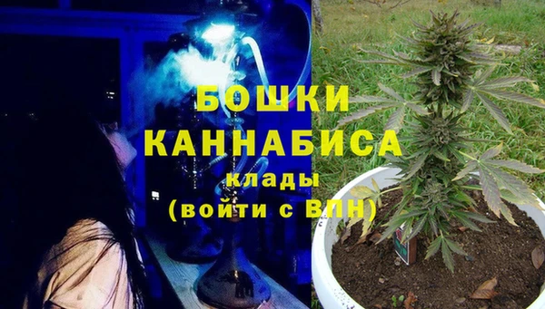 ECSTASY Белокуриха