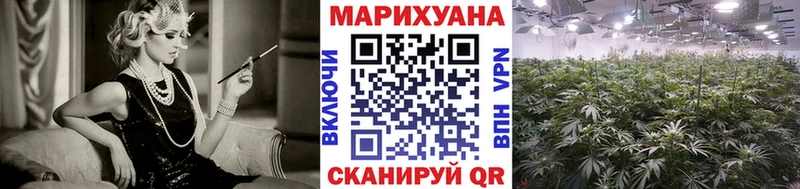 Шишки марихуана конопля Пионерский